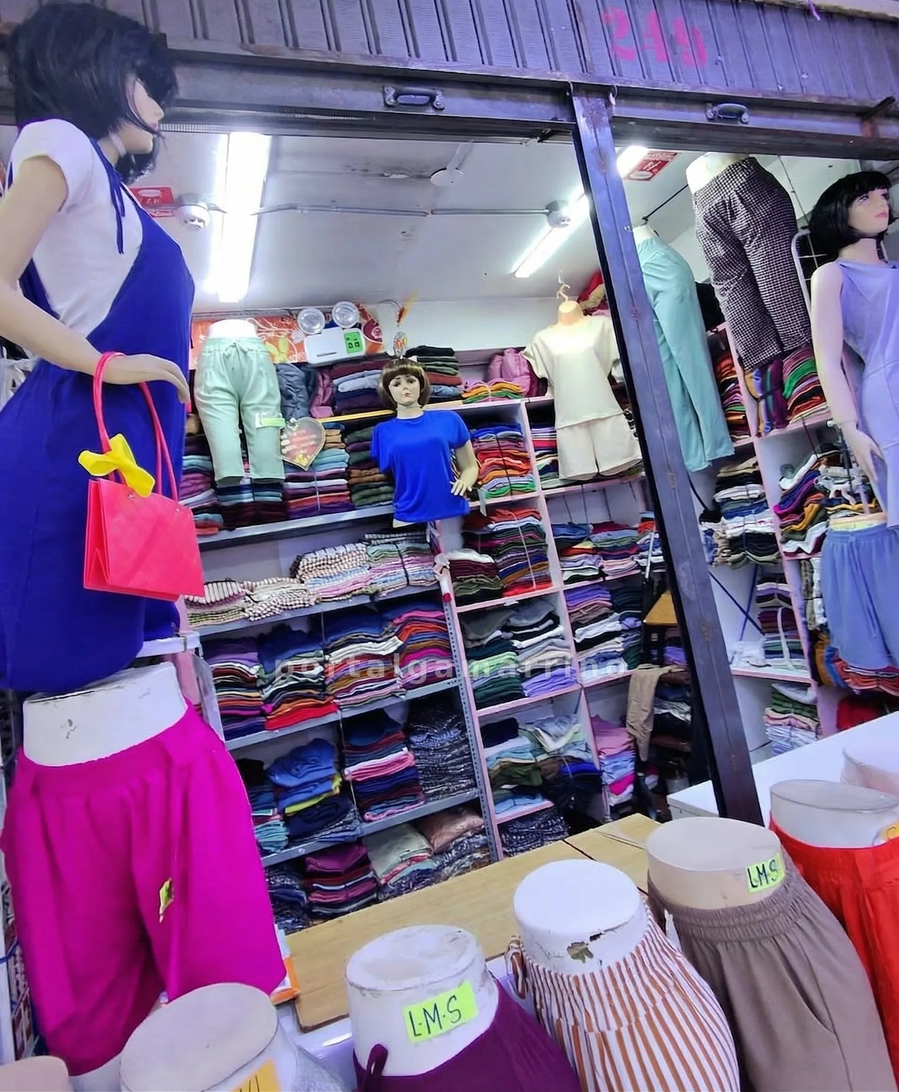 Tienda de pantalones y shorts de dama · Ropa y Moda · Pantalones y  Polos para Mujer — foto 2