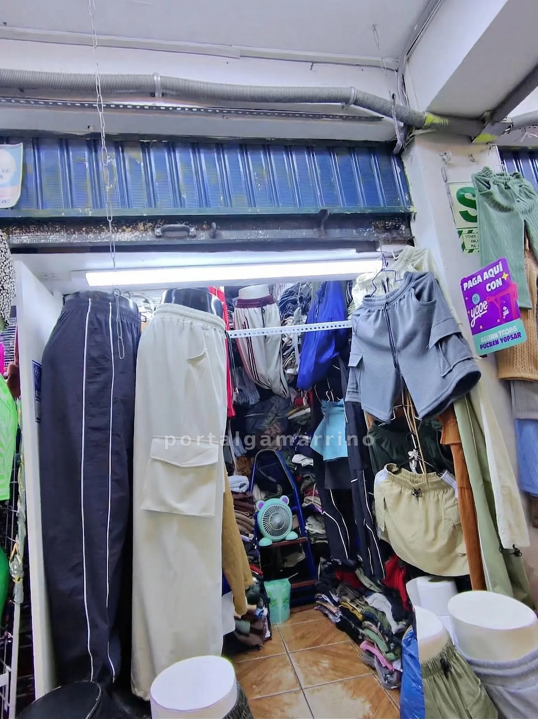 Tienda de Buzos y Joggers Deportivos · Ropa Deportiva · Buzos y Joggers — foto 2