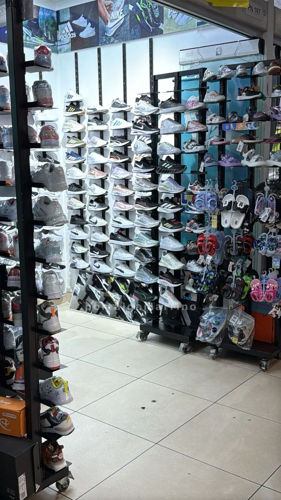 Zapatillas deportivas y urbanas para hombre, mujer y niños. — C.C Gama Moda Plaza