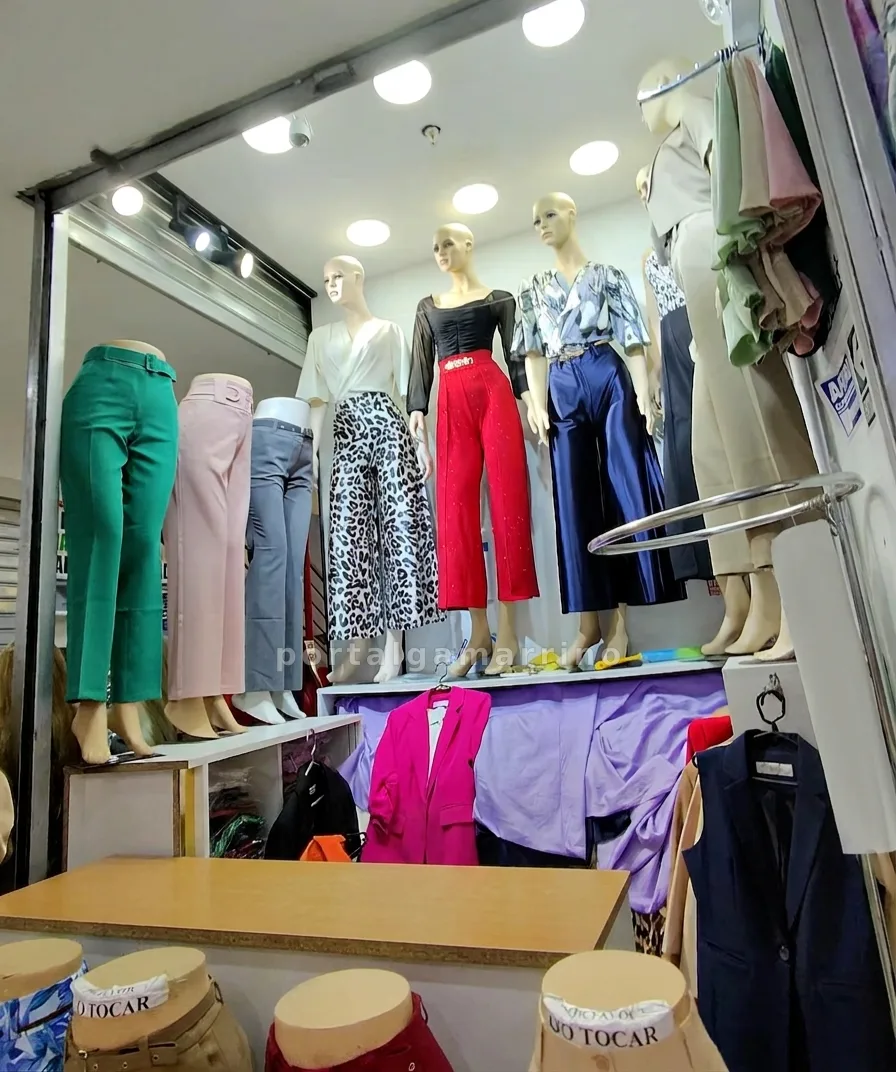 Tienda de pantalones y blazers para mujer · Ropa de Mujer · Ropa Elegante para Mujer — foto 2