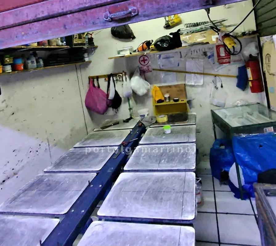 Taller de estampado en serigrafĂa · Estampado Textil · SerigrafĂa — foto 1