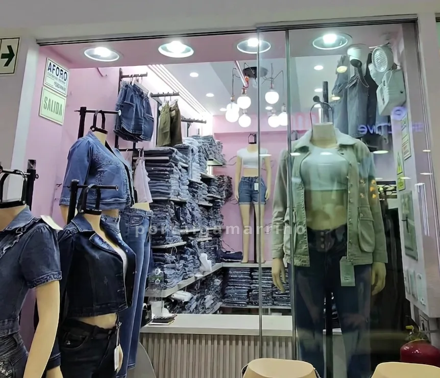Tienda de jeans y casacas denim para mujer · Jeans · Jeans para Mujer — foto 3