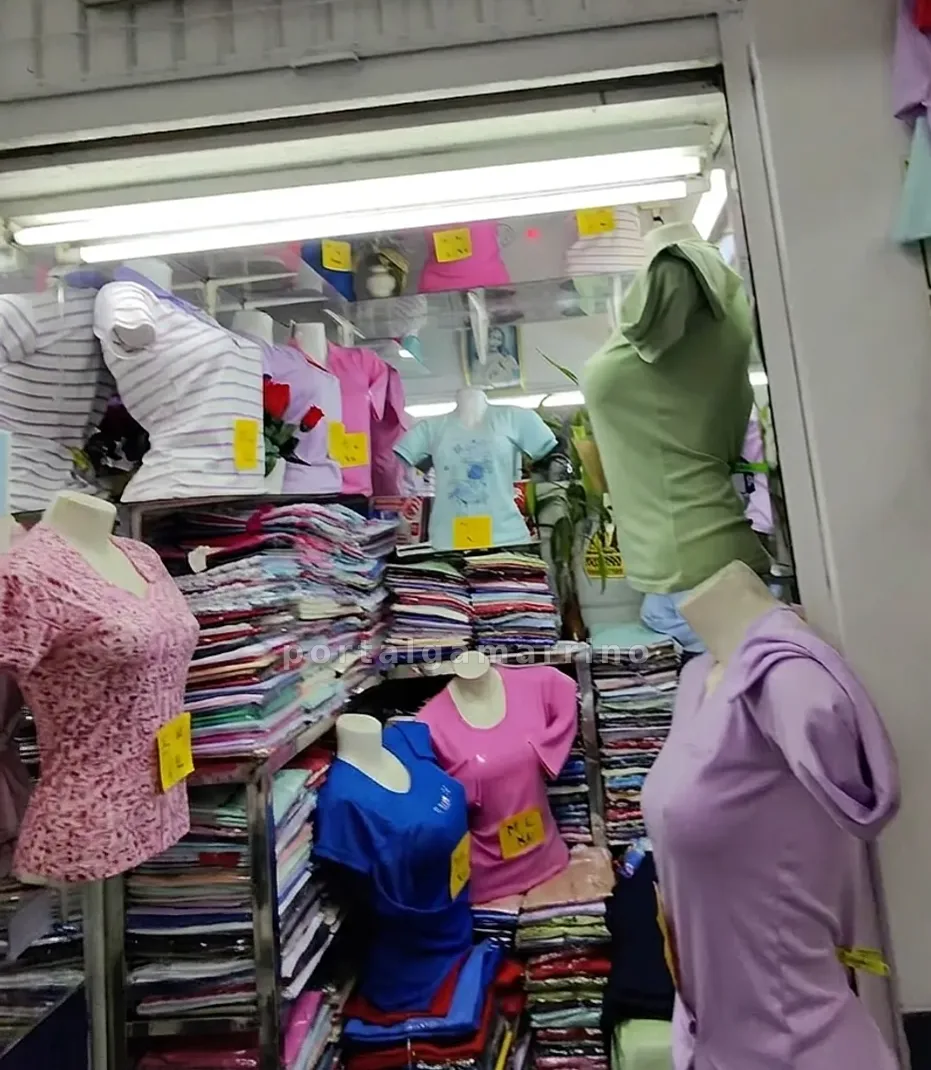 Tienda de polos y blusas básicas para mujer · Ropa de Mujer · Polos Básicos para Mujer — foto 3