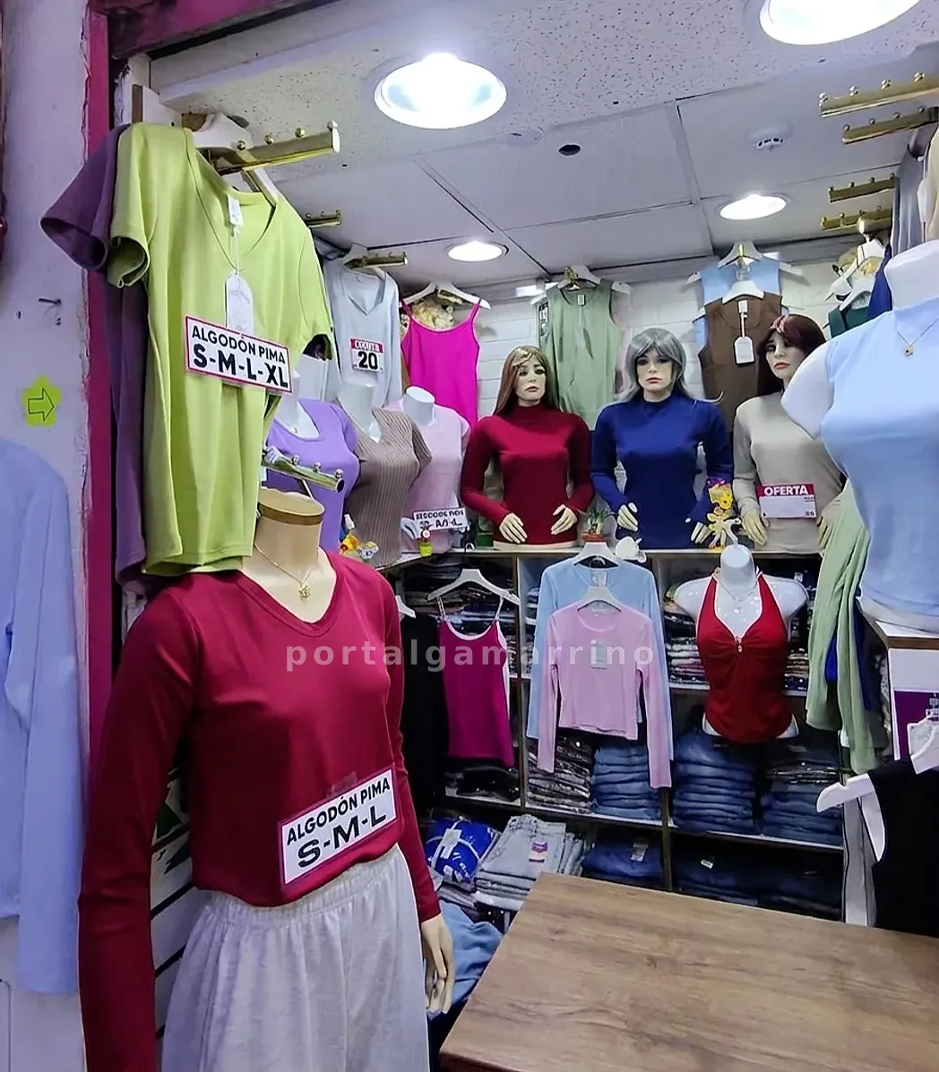 Tienda de polos y tops básicos para mujer · Ropa de Mujer · Polos Básicos para Mujer — foto 2
