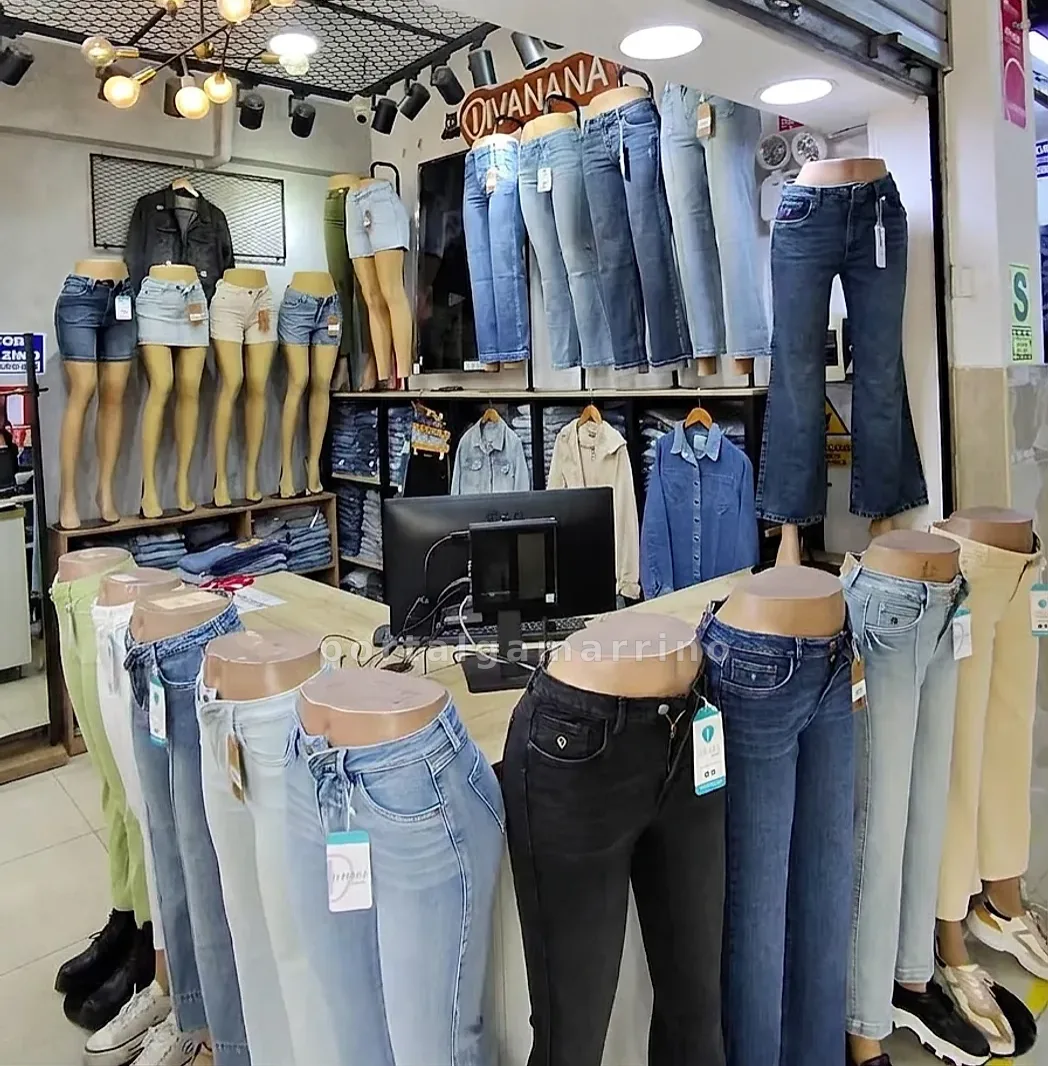 Tienda de jeans y shorts para mujer — Galería El Mayorista